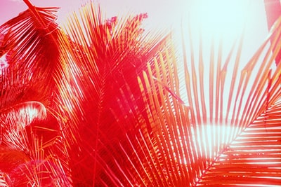 红色的烟花在天空中
